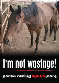 not_wastage
