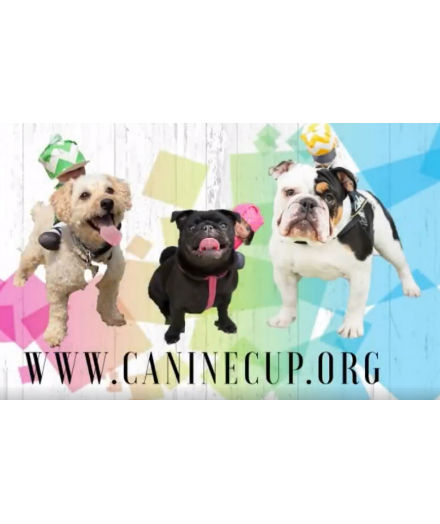 Canine Cup for web 2