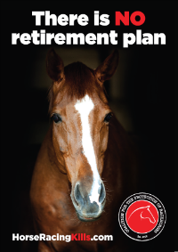 No Retirement Plan poster screenshot for web