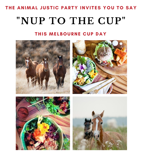 AJP Nup-to-the-Cup