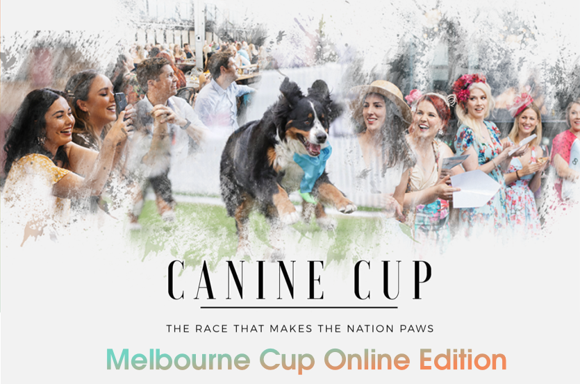 melb-cup