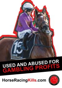 CPR Poster June 2022_Used and Abused for Gambling Profits - for web